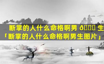 断掌的人什么命格啊男 🐎 生「断掌的人什么命格啊男生图片」